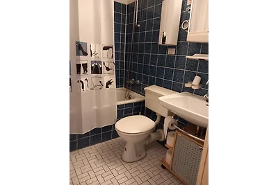 Vakantieappartement Gezinsvakantie Klosterreichenbach