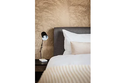 Business Appartement 2 am Bodensee