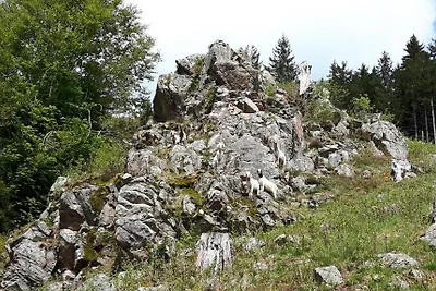 Feriendomicil Haus Grabenbühl -