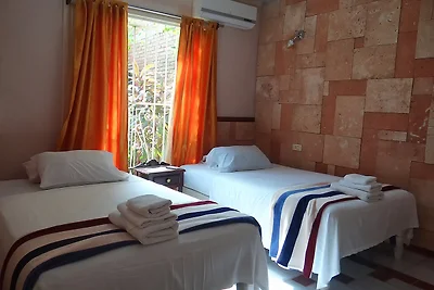 Hammerhead Trinidad Appartement 1
