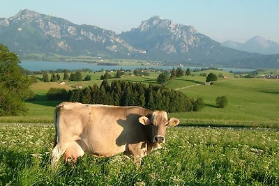 Ferienwohnung Schlossberg mit