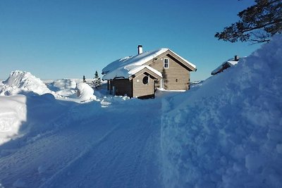 Vakantiehuis Ontspannende vakantie Telemark