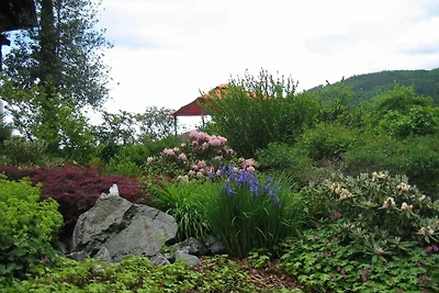 Appartamento Vacanza con famiglia Gutach