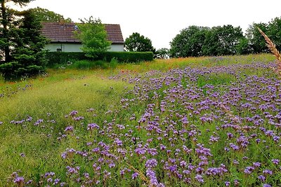 Vakantiehuis Ontspannende vakantie Gransee