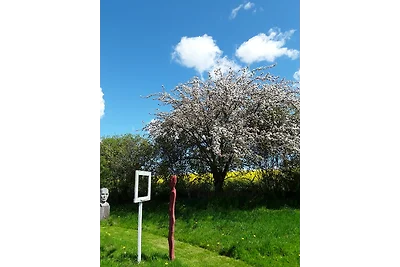 Ferienwohnung im Skulpturengarten