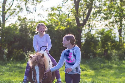 Appartamento Vacanza con famiglia Fehmarn