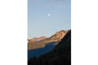 Wildgrün Maxi Lodge 12