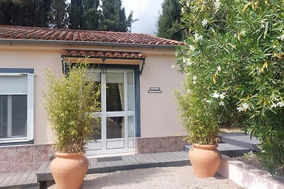 Casita Cacahuete