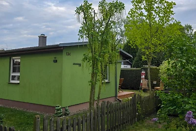 Vakantiehuis Ontspannende vakantie Mönkebude