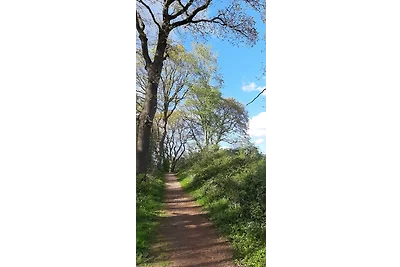 Vakantiehuis Ontspannende vakantie Brekendorf