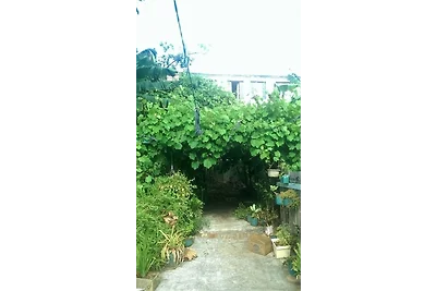 Vakantieappartement Gezinsvakantie Baracoa