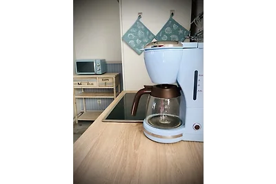 Sonniges Fischer-Huus am Deich