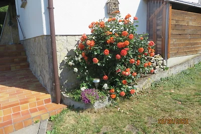 Vakantiehuis Ontspannende vakantie Marksuhl