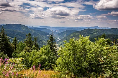 Vakantieappartement Gezinsvakantie Hinterzarten