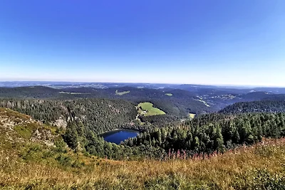 Vakantieappartement Gezinsvakantie Feldberg