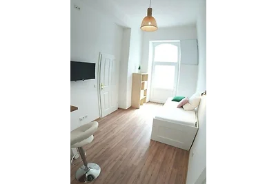 Klimatisiertes Apartment nahe Ring