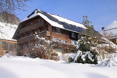 Vakantiehuis Ontspannende vakantie Bernau im Schwarzwald