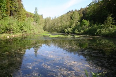 Fewo Fels- und Seenland