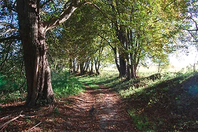 Ferienhaushälfte an der Müritz