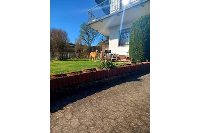 Eifel Urlaub mit Hunden Ferienhaus