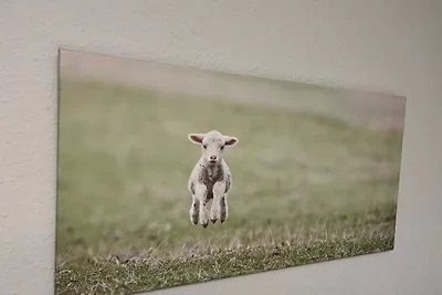 apartman za odmor Obiteljski odmor Greetsiel