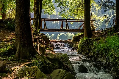 Kurhotel Schluchsee App. 1102 -