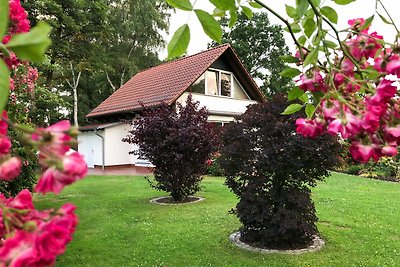 Ferienhaus direkt in Berlin an der