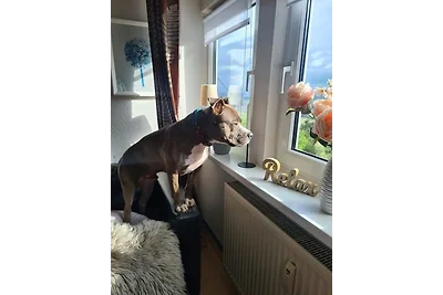 Appartamento Vacanza con famiglia Bestwig