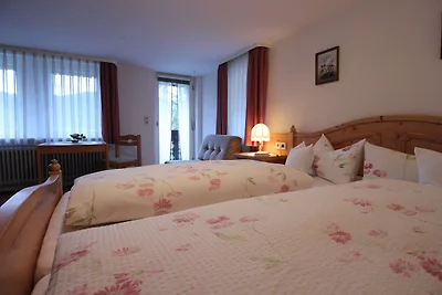 Haus Schneider, Ferienwohnung