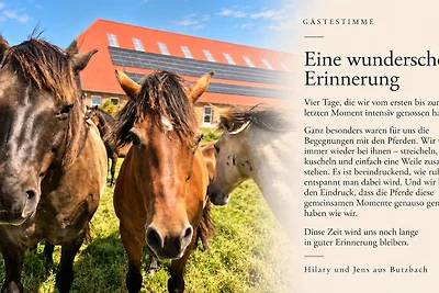 Sömmerland, Exklusive