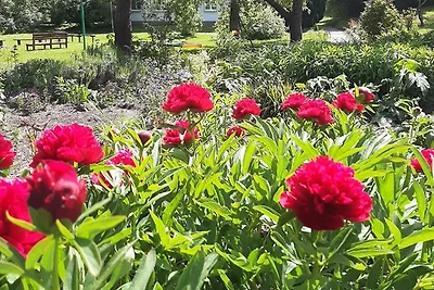 Die Malche Gäste und Tagungshaus