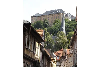 Harzhaus Fewo Gartenblick