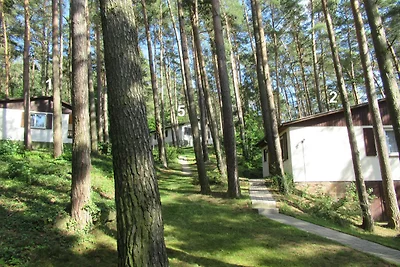 Feriendorf Mengshausen 2