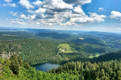 Appartamento Vacanza con famiglia Feldberg