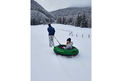 Appartamento Vacanza con famiglia Kremsbrücke