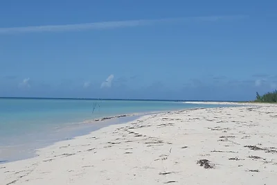 Hostal El Almendro Maritza y Omar