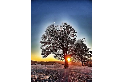 Vakantieappartement Gezinsvakantie Falkau