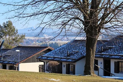 Ferienhaus Nr. 16, Kategorie