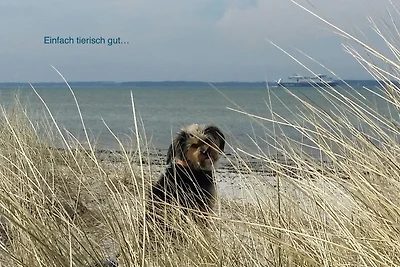 Ap. Bülk - Haus Nordlichter