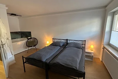 RheinSchatz Apartments 1