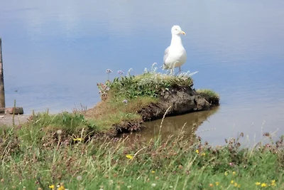 Appartamento Vacanza con famiglia Dagebüll