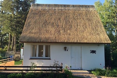 Ferienhaus Boddenblick