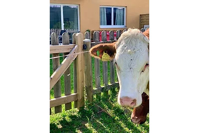 Promi-Lodge Flachau - an der Piste