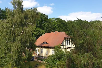 Holiday flat family holiday Koserow