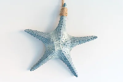 Haus Schwanensee Maritimes