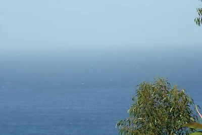 Vakantieappartement Gezinsvakantie Santa Ursula