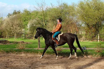 Vakantieappartement Gezinsvakantie Bad Bodenteich