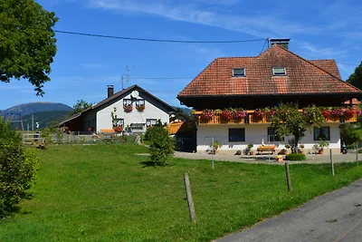 Haus Rümmele - Ferienwohnung 2