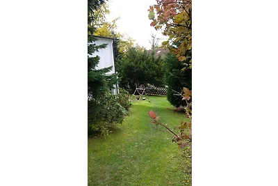 Blick über Hohegeiss