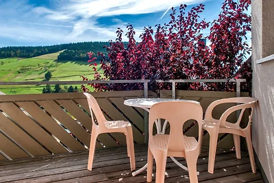 Appartamento Vacanza con famiglia Todtnau